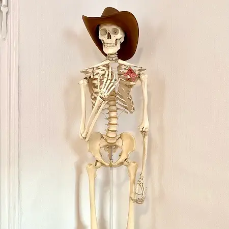 Lehr-Skellett in der Praxis Barbara Deicke